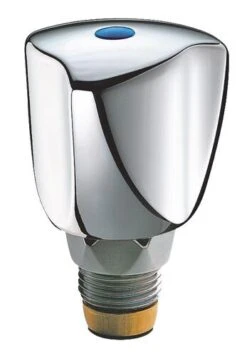 Tête Universelle Croisillon Gamma Chromé- DELABIE 21/150