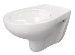 Cuvette Suspendue Sans Bride NF