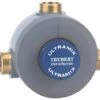 Mitigeur Thermostatique Collectif Ultramix TX95E - WATTS